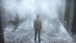 The Frozen GardenАВТОДОСТАВКА Steam Россия - изображение № 4