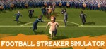 Football Streaker SimulatorАВТОДОСТАВКА Steam Россия