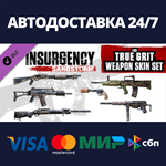 Insurgency: Sandstorm - True Grit Weapon Skin Set DLC