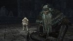 DARK SOULS™ II - Crown of the Old Iron King DLC - изображение № 3