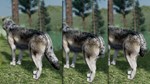 WolfQuest Anniversary - Building Character Pack DLC - изображение № 4
