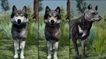 WolfQuest Anniversary - Building Character Pack DLC - изображение № 3