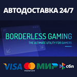 Borderless GamingАВТОДОСТАВКА Steam Россия