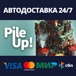 Pile Up!АВТОДОСТАВКА Steam Россия