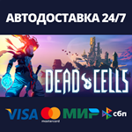 Dead CellsАВТОДОСТАВКА Steam Россия