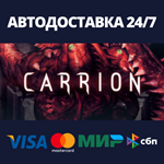 CarrionАВТОДОСТАВКА Steam Россия