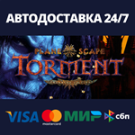 Planescape: Torment: Enhanced EditionSteam RU