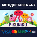 PikunikuАВТОДОСТАВКА Steam Россия