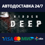 Hidden DeepАВТОДОСТАВКА Steam Россия