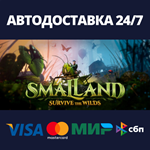 SMALLANDАВТОДОСТАВКА Steam Россия
