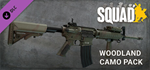 Squad - WS - Pack 1 DLCАВТОДОСТАВКА Steam Россия