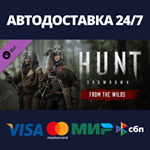 Hunt: Showdown - From the Wilds DLCАВТОДОСТАВКА Steam