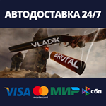 VLADiK BRUTALАВТОДОСТАВКА Steam RU/BY/KZ/UA