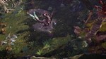 Last Epoch Выбор региона Steam - изображение № 3