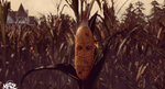 Maize Steam Key Region Free - изображение № 2