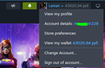 STEAM 24/7  АВТОПОПОЛНЕНИЕ ДЕШЕГО RUB, KZT, UAH - изображение № 2