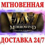 The Elder Scrolls III: Morrowind GOTY STEAMКЛЮЧ