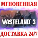 Wasteland 3 | Colorado CollectionSTEAMКЛЮЧРФ+МИР