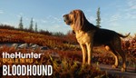 theHunter Call of the Wild - Bloodhound Steam Ключ+