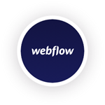 Webflow CMS plan for 1 Year Private Account
