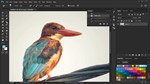 Полноценный видеокурс по Photoshop + Файлы примеров
