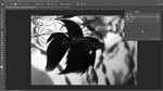 Фотошоп с нуля 4.0 - Более 16 Гб. материала! - изображение № 4