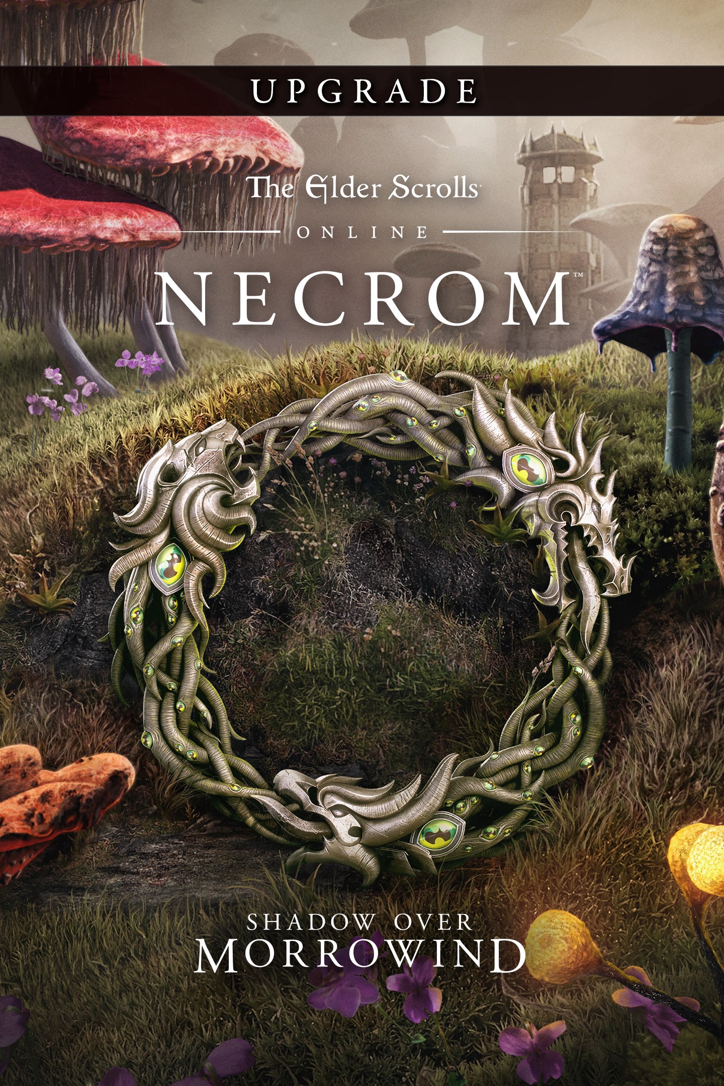 💎THE ELDER SCROLLS ONLINE UPGRADE: NECROM XBOX🔑КЛЮЧ