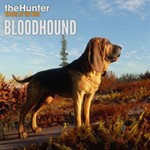 theHunter: Call of the Wild Bloodhound XBOX КЛЮЧ