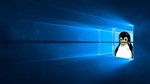 Pengwin Windows 10 ПК КЛЮЧ