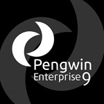 Pengwin Enterprise 9 Windows ПК КЛЮЧ