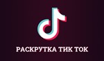 ????????????Тик Ток подписчики - изображение № 2