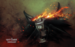 The Witcher 2: Assassins of Kings Enhanced  STEAM•RU - изображение № 3