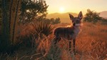 theHunter: Call of the Wild™ - Rancho Del Arroyo XBOX - изображение № 6