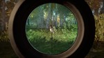 theHunter: Call of the Wild™ - Revontuli Coast XBOX  - изображение № 11