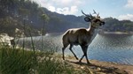 theHunter Call of the Wild Emerald Coast Australia XBOX - изображение № 2