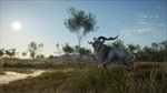 theHunter Call of the Wild Emerald Coast Australia XBOX - изображение № 14