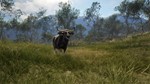 theHunter Call of the Wild Emerald Coast Australia XBOX - изображение № 7