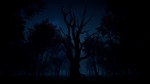 Slender: The Arrival XBOX SERIES X|S [ Ключ  Код ] - изображение № 7