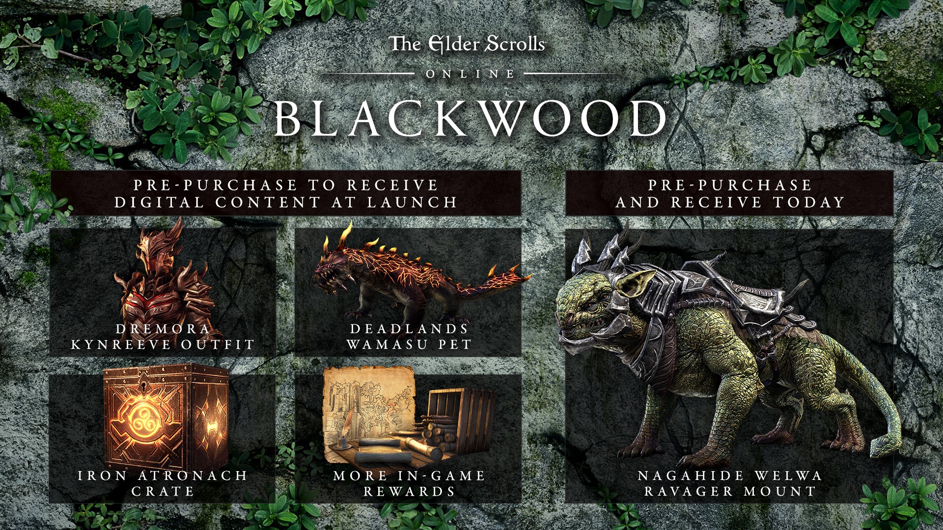 ✅The Elder Scrolls Online Collection Blackwood CE XBOX