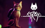 STRAY + МЕГАБОНУС ИГРЫ