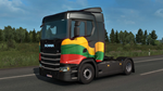 Lithuanian Paint Jobs PackSTEAM GIFT AUTORU/УКР/СНГ - изображение № 4