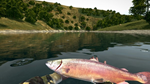 Ultimate Fishing SimulatorSTEAM GIFT AUTORU/УКР/СНГ - изображение № 4