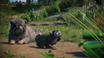 Planet Zoo: Zookeepers Animal PackSTEAM GIFT AUTO - изображение № 4