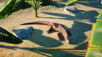 Planet Zoo: Ultimate EditionSTEAM GIFT AUTORU/УКР/СНГ - изображение № 3