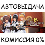 CUSTOM ORDER MAID 3D2 It's a Night MagicSTEAM GIFT