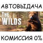The WILDSSTEAM GIFT AUTORU/УКР/КЗ/СНГ