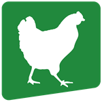 (Broiler System)