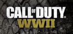 Call of Duty: WWII  STEAM GIFT  АВТО 