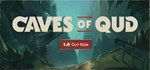 Caves of Qud  STEAM GIFT  АВТО 