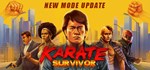 Karate Survivor  STEAM GIFT  АВТО 